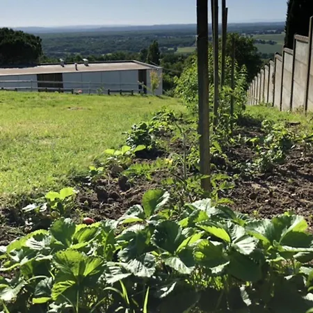 Villa De 4 Chambres A Montjoire Avec Magnifique Vue Sur La Montagne Piscine Privee Jardin Amenage Villa *